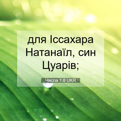 Picture 07 - Числа 1:8 UKR - для Іссахара Натанаїл, син - Bible Verse Picture
