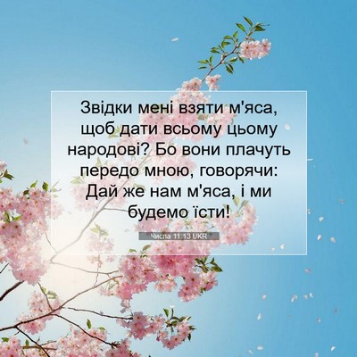 Picture 07 - Числа 11:13 UKR - Звідки мені взяти м'яса, - Bible Verse Picture