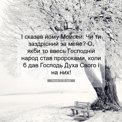 Picture 07 - Числа 11:29 UKR - І сказав йому Мойсей: Чи ти - Bible Verse Picture