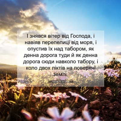 Picture 07 - Числа 11:31 UKR - І знявся вітер від Господа, - Bible Verse Picture