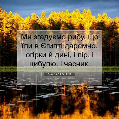 Picture 07 - Числа 11:5 UKR - Ми згадуємо рибу, що їли в - Bible Verse Picture