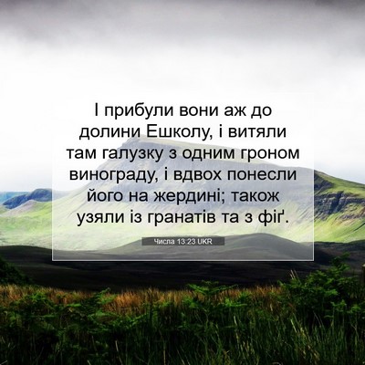 Picture 07 - Числа 13:23 UKR - І прибули вони аж до долини - Bible Verse Picture