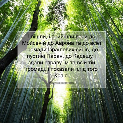 Picture 07 - Числа 13:26 UKR - І пішли, і прийшли вони до - Bible Verse Picture
