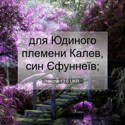 Picture 07 - Числа 13:6 UKR - для Юдиного племени Калев, - Bible Verse Picture