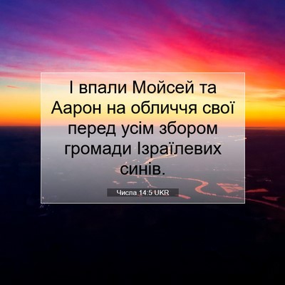 Picture 07 - Числа 14:5 UKR - І впали Мойсей та Аарон на - Bible Verse Picture
