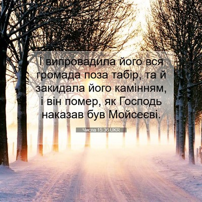 Picture 07 - Числа 15:36 UKR - І випровадила його вся - Bible Verse Picture