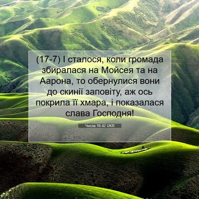 Picture 07 - Числа 16:42 UKR - (17-7) І сталося, коли громада - Bible Verse Picture