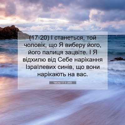 Picture 07 - Числа 17:5 UKR - (17-20) І станеться, той - Bible Verse Picture