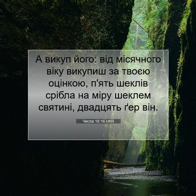 Picture 07 - Числа 18:16 UKR - А викуп його: від місячного - Bible Verse Picture