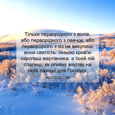 Picture 07 - Числа 18:17 UKR - Тільки перворідного з - Bible Verse Picture