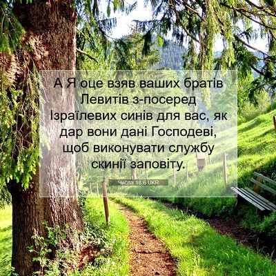 Picture 07 - Числа 18:6 UKR - А Я оце взяв ваших братів - Bible Verse Picture