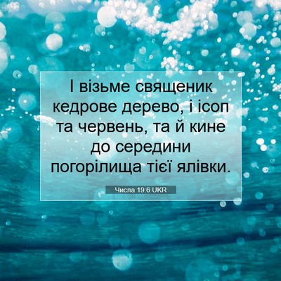 Picture 07 - Числа 19:6 UKR - І візьме священик кедрове - Bible Verse Picture
