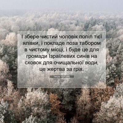 Picture 07 - Числа 19:9 UKR - І збере чистий чоловік - Bible Verse Picture