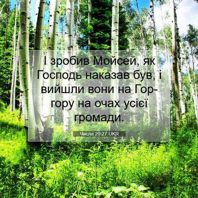 Picture 07 - Числа 20:27 UKR - І зробив Мойсей, як Господь - Bible Verse Picture