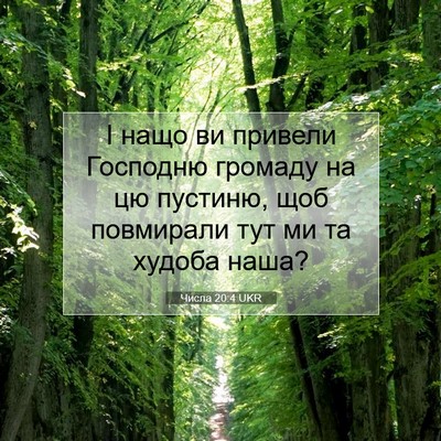 Picture 07 - Числа 20:4 UKR - І нащо ви привели Господню - Bible Verse Picture