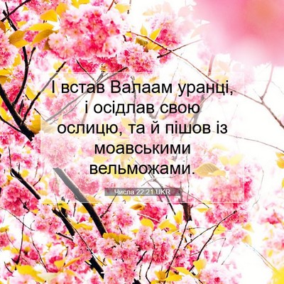 Picture 07 - Числа 22:21 UKR - І встав Валаам уранці, і - Bible Verse Picture