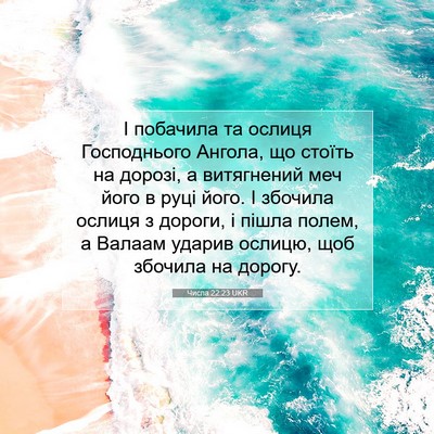 Picture 07 - Числа 22:23 UKR - І побачила та ослиця - Bible Verse Picture