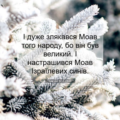 Picture 07 - Числа 22:3 UKR - І дуже злякався Моав того - Bible Verse Picture