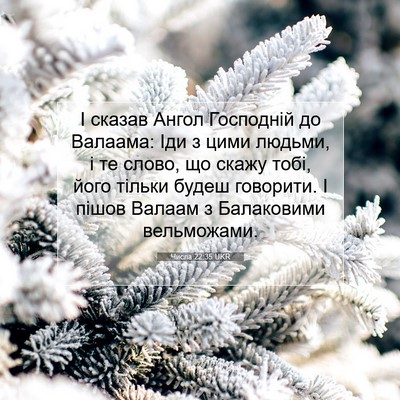 Picture 07 - Числа 22:35 UKR - І сказав Ангол Господній - Bible Verse Picture
