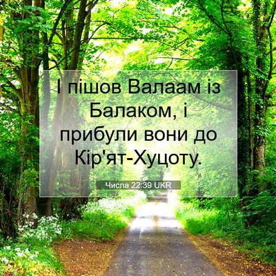 Picture 07 - Числа 22:39 UKR - І пішов Валаам із Балаком, - Bible Verse Picture