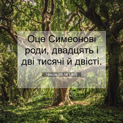 Picture 07 - Числа 26:14 UKR - Оце Симеонові роди, - Bible Verse Picture