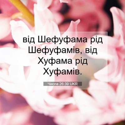 Picture 07 - Числа 26:39 UKR - від Шефуфама рід - Bible Verse Picture