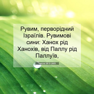 Picture 07 - Числа 26:5 UKR - Рувим, перворідний - Bible Verse Picture