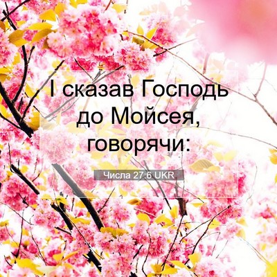 Picture 07 - Числа 27:6 UKR - І сказав Господь до Мойсея, - Bible Verse Picture