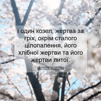 Picture 07 - Числа 29:16 UKR - і один козел, жертва за - Bible Verse Picture