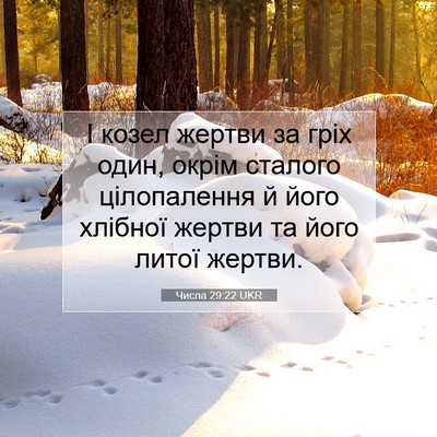 Picture 07 - Числа 29:22 UKR - І козел жертви за гріх - Bible Verse Picture