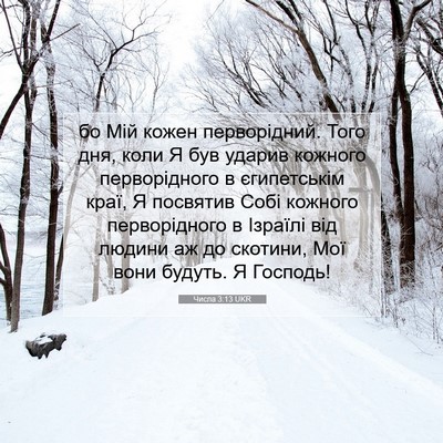 Picture 07 - Числа 3:13 UKR - бо Мій кожен перворідний. - Bible Verse Picture