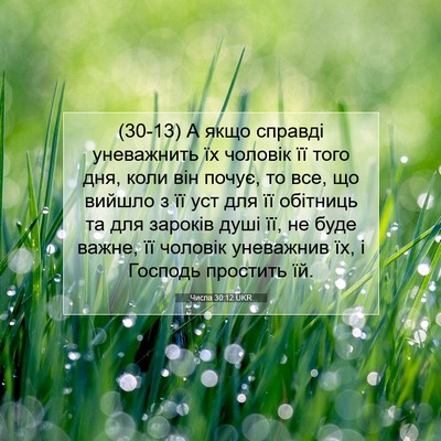 Picture 07 - Числа 30:12 UKR - (30-13) А якщо справді - Bible Verse Picture