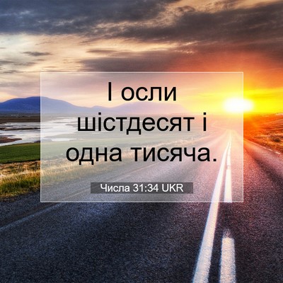Picture 07 - Числа 31:34 UKR - І осли шістдесят і одна - Bible Verse Picture
