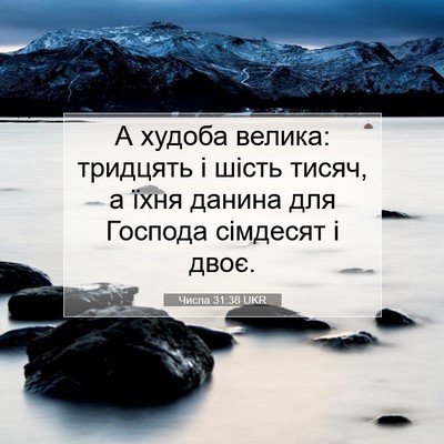 Picture 07 - Числа 31:38 UKR - А худоба велика: тридцять і - Bible Verse Picture