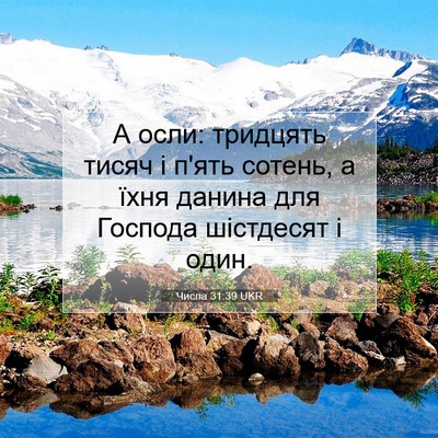 Picture 07 - Числа 31:39 UKR - А осли: тридцять тисяч і - Bible Verse Picture