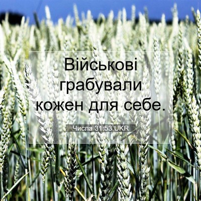 Picture 07 - Числа 31:53 UKR - Військові грабували кожен - Bible Verse Picture