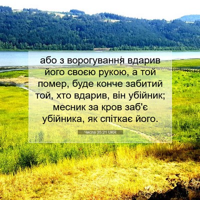Picture 07 - Числа 35:21 UKR - або з ворогування вдарив - Bible Verse Picture