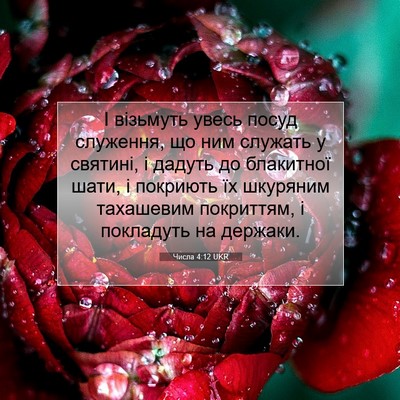 Picture 07 - Числа 4:12 UKR - І візьмуть увесь посуд - Bible Verse Picture