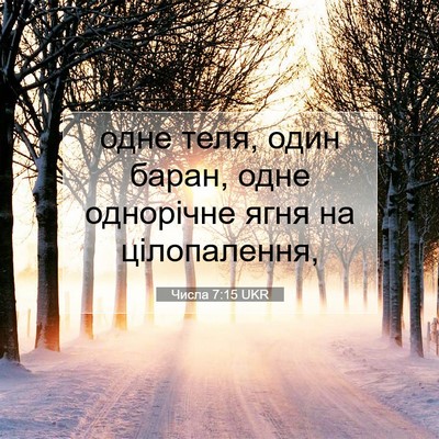 Picture 07 - Числа 7:15 UKR - одне теля, один баран, одне - Bible Verse Picture