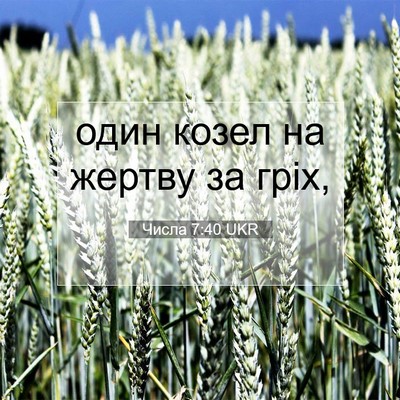 Picture 07 - Числа 7:40 UKR - один козел на жертву за - Bible Verse Picture