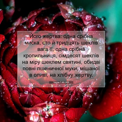 Picture 07 - Числа 7:49 UKR - Його жертва: одна срібна - Bible Verse Picture