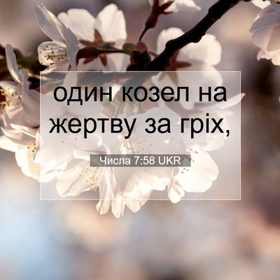 Picture 07 - Числа 7:58 UKR - один козел на жертву за - Bible Verse Picture
