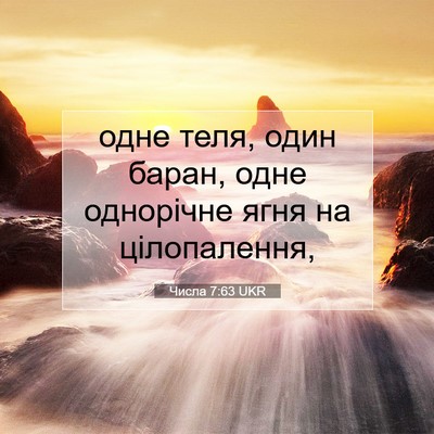 Picture 07 - Числа 7:63 UKR - одне теля, один баран, одне - Bible Verse Picture