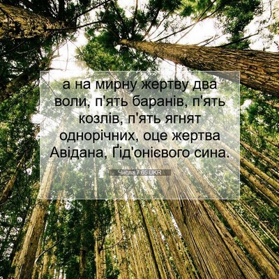 Picture 07 - Числа 7:65 UKR - а на мирну жертву два воли, - Bible Verse Picture