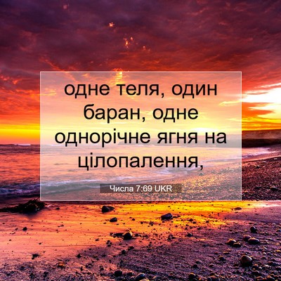 Picture 07 - Числа 7:69 UKR - одне теля, один баран, одне - Bible Verse Picture