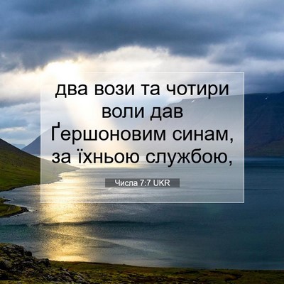 Picture 07 - Числа 7:7 UKR - два вози та чотири воли дав - Bible Verse Picture