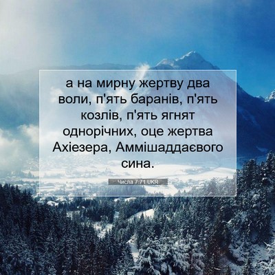Picture 07 - Числа 7:71 UKR - а на мирну жертву два воли, - Bible Verse Picture