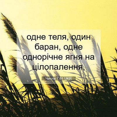 Picture 07 - Числа 7:81 UKR - одне теля, один баран, одне - Bible Verse Picture