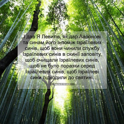 Picture 07 - Числа 8:19 UKR - І дав Я Левитів, як дар - Bible Verse Picture