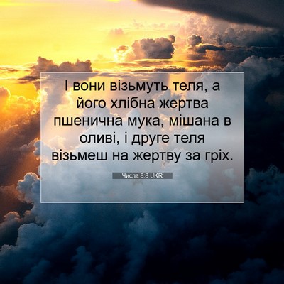 Picture 07 - Числа 8:8 UKR - І вони візьмуть теля, а - Bible Verse Picture